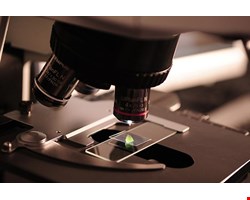 مدیریت کارآفرینی
